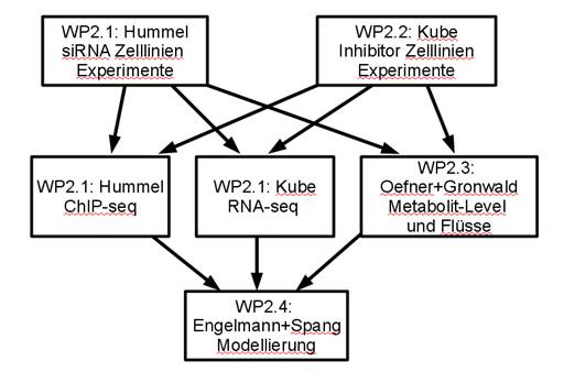 Übersicht AP2